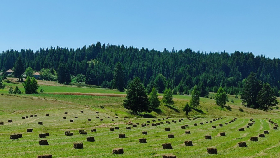 DOŽIVITE AKTIVAN PLANINSKI ODMOR na 1.250 mnv