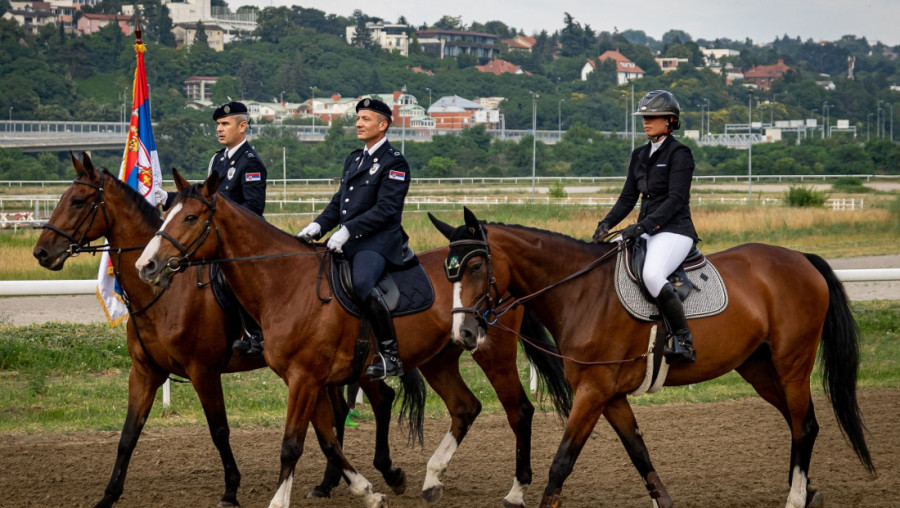 NEDELJA JE DAN ZA DERBI - na Hipodromu Beograd