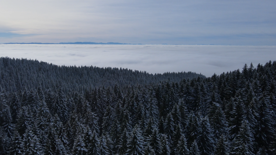 AKO IDETE NA KOPAONIK OVU NAKNADU MORATE DA PLATITE, INAČE...