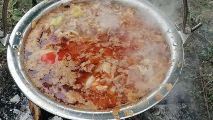 KARNEVAL I GULAŠIJADA 31. maja u Debeljači