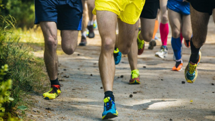 12. JESENJI PLANINSKI MARATON NA FRUŠKOJ GORI u subotu, 17. oktobra