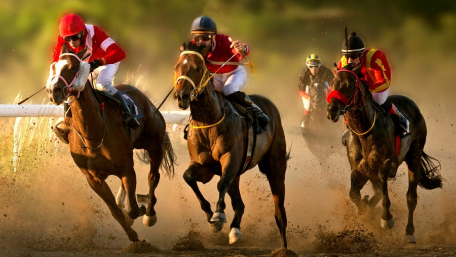 POČINJE GALOPSKA SEZONA NA HIPODROMU: U nedelju, 26. aprila na programu će biti sedam trka