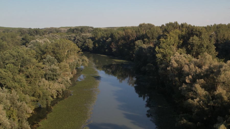 HARMONIJA PODUNAVLJA, Bački Monoštor, 27. i 28. septembra