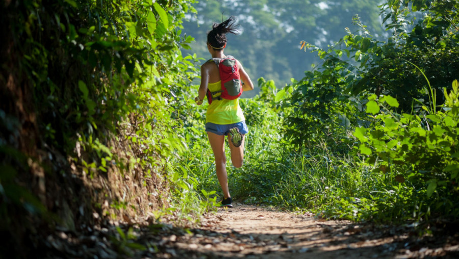 PLANINARSKI MARATON na Fruškoj gori, 19. oktobra u 9.15h