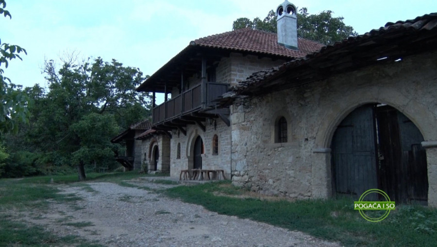 DAN VINA I LEPOG RASPOLOŽENJA na Rajačkim pimnicama