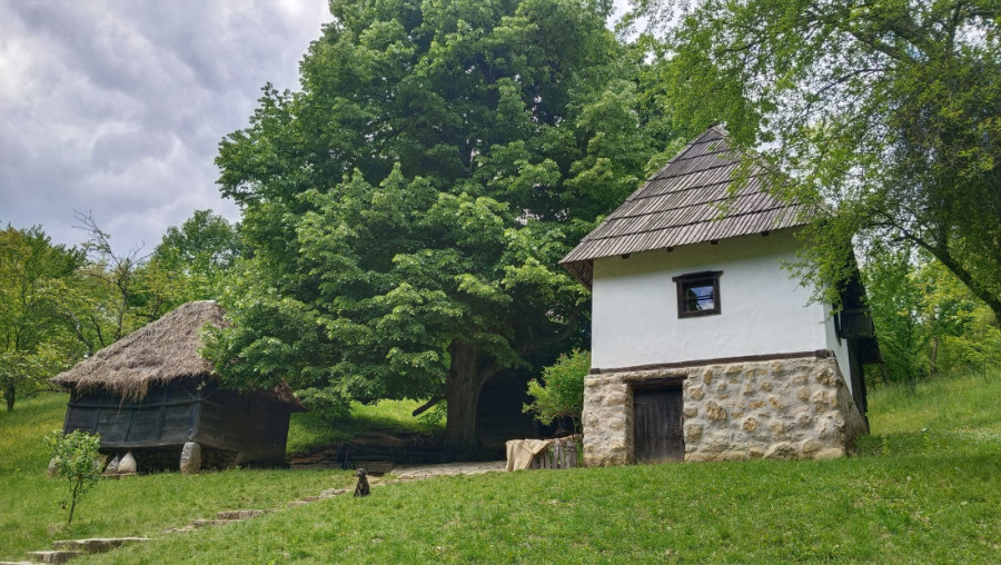 PUTOVANJE KROZ VUKOVO NASLEĐE – Otkrijte dušu srpske kulture i ćirilice