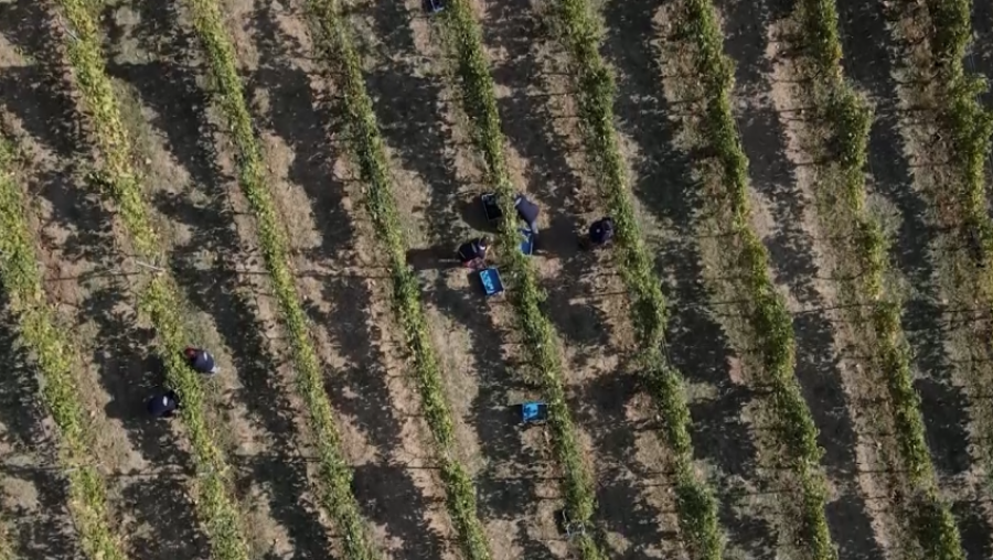 SRBIJA IZ VAZDUHA: Šumadija