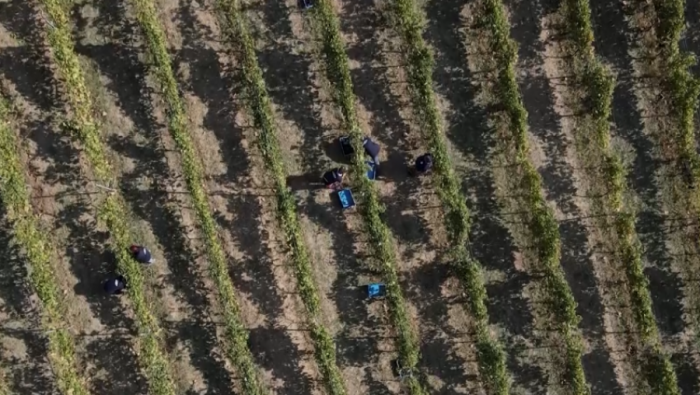 SRBIJA IZ VAZDUHA: Šumadija