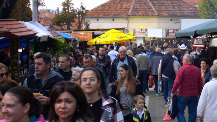 SVE JE SPREMNO ZA 62. OPLENAČKE DANE BERBE u Topoli od 10. do 12. oktobra (PROGRAM)