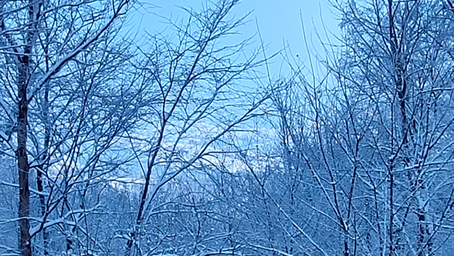 KAKVO ĆE VREME BITI U NOVOGODIŠNJOJ NOĆI? Detaljna prognoza za Srbiju