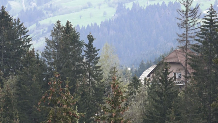 SRBIJA DOBILA JOŠ JEDAN SPECIJALNI REZERVAT PRIRODE: Ova planina na jugozapadu postala je novo zaštićeno područje