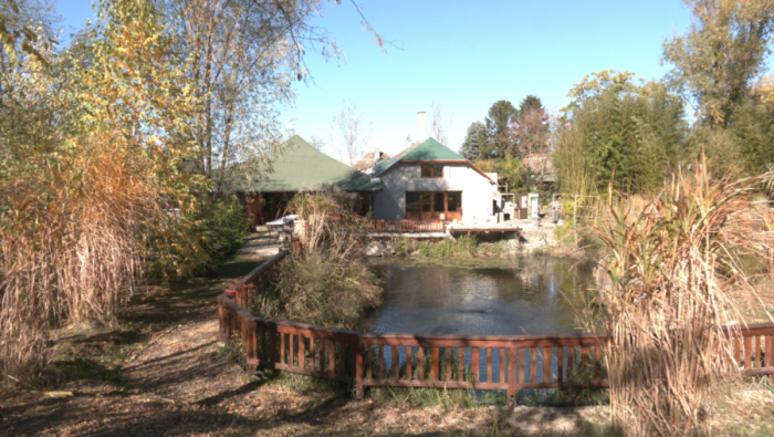 VINSKI TURIZAM U SRBIJI: Spoj vina, prirode i avanture