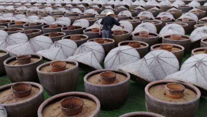 ALHEMIJA VRENJA - tajna soja sosa