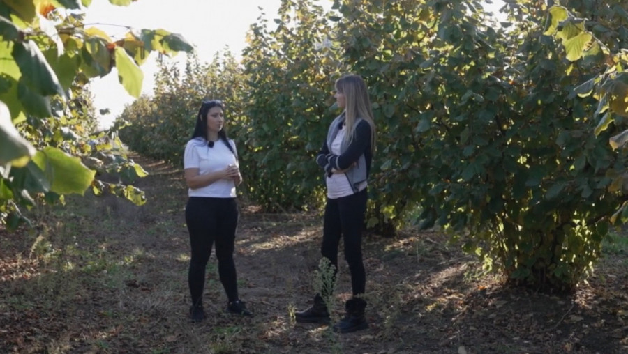 SRBIJA RADI, SRBIJA SE GRADI u epizodi: "Plantaža lešnika i prirodni proizvodi “Yasna”, Jasna Mauković, Adaševci"