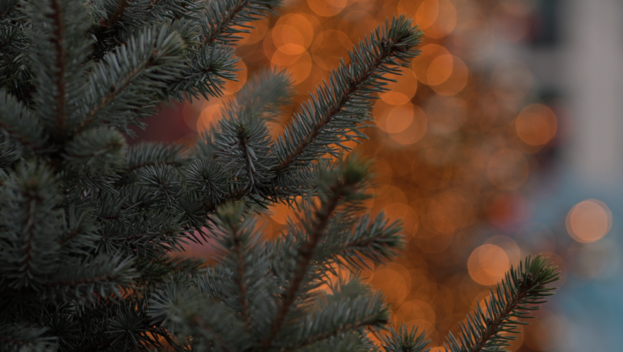 POČINJE ZIMSKI FESTIVAL ZIMALO: Mesec praznične čarolije i zabave do 14. januara u Loznici