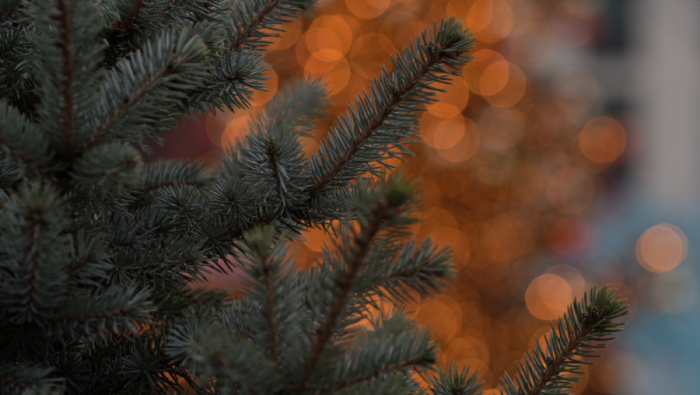 POČINJE ZIMSKI FESTIVAL ZIMALO: Mesec praznične čarolije i zabave do 14. januara u Loznici