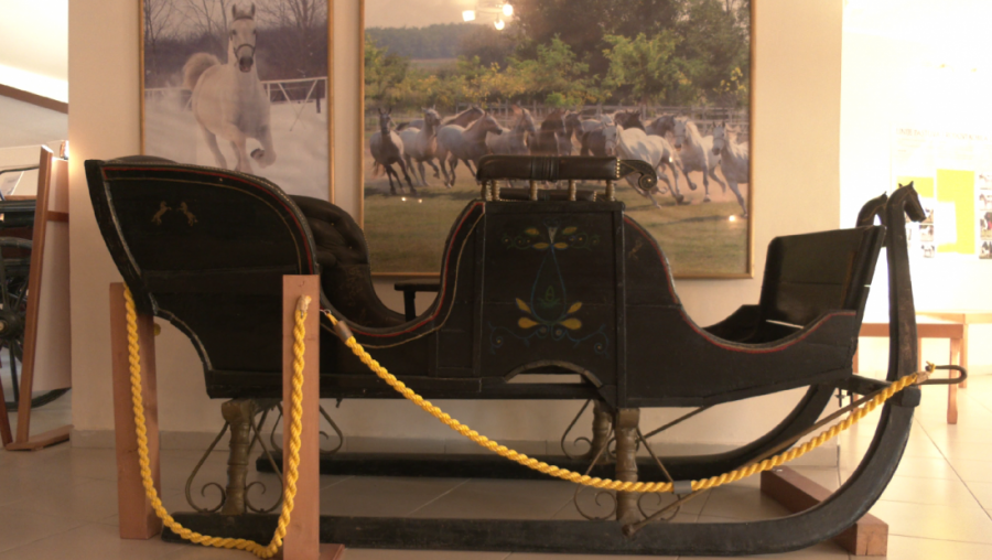 MUZEJ KOČIJA NA ERGELI KELEBIJA – putovanje kroz vreme i tradiciju uzgoja konja
