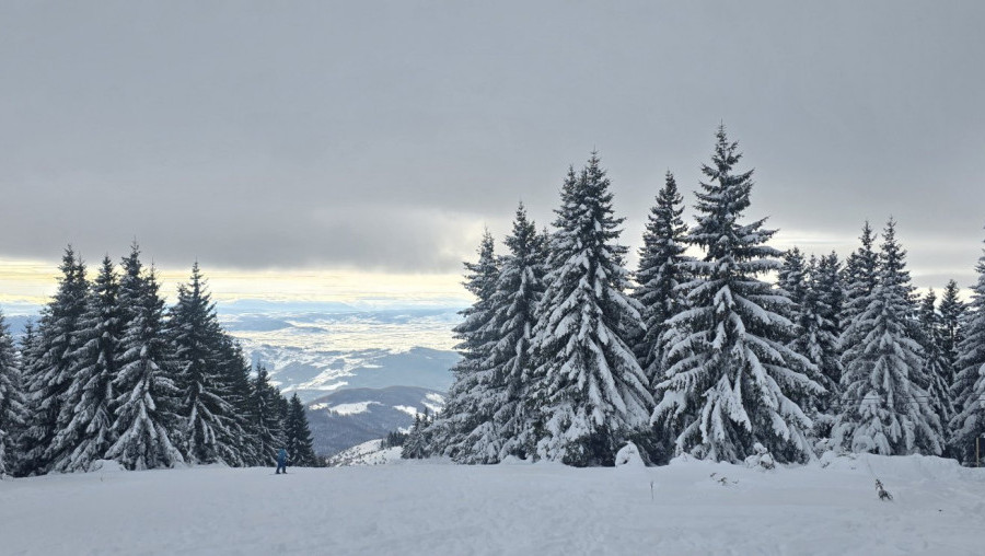 UŽIVANJE NA SNEGU NA GOLEMOJ PLANINI: Staze za skijanje, čist vazduh i domaća hrana