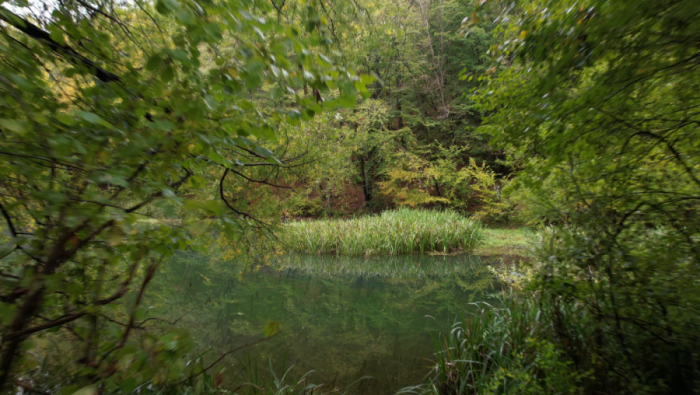 „SREMUŠIJADA“ NA GRZI: Paraćinski Javorak zove na berbu divljeg belog luka 22. marta