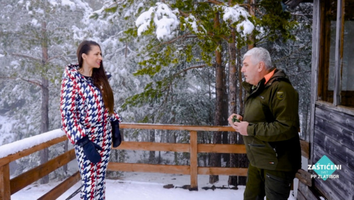 "ZAŠTIĆENI SVET" NA ZLATIBORU: Otkrivamo tajne mrkih medveda i istražujemo netaknutu prirodu najposećenije planine