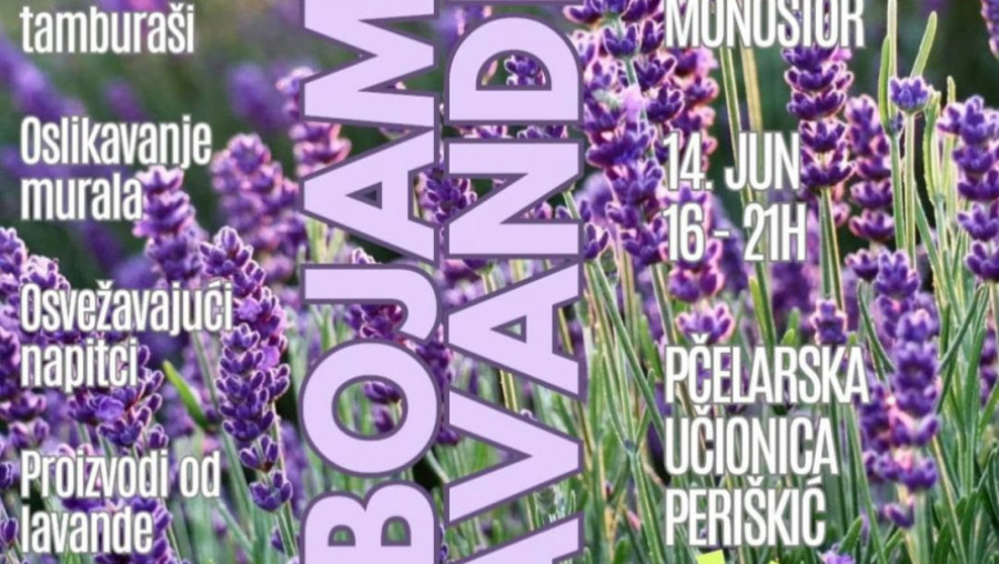 U BOJAMA LAVANDE u nedelju 14. juna u Bačkom Monoštoru