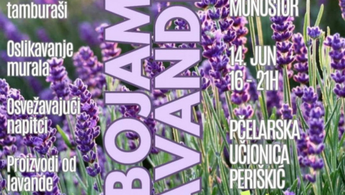 U BOJAMA LAVANDE u nedelju 14. juna u Bačkom Monoštoru