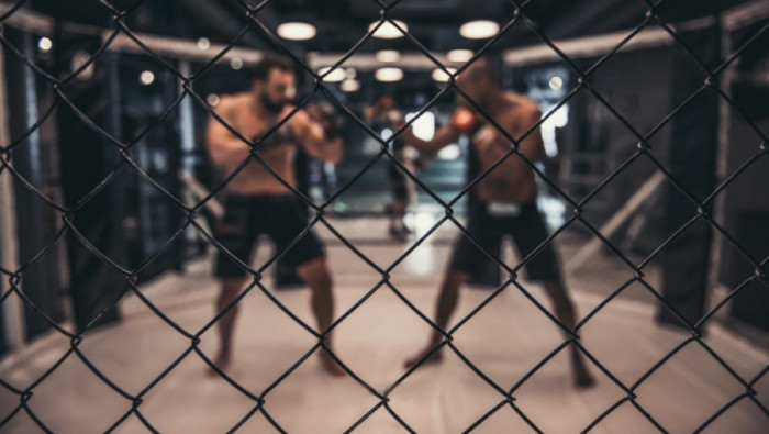 UFC FIGHT NIGHT BELGRADE: Borilački spektakl u Beogradskoj areni