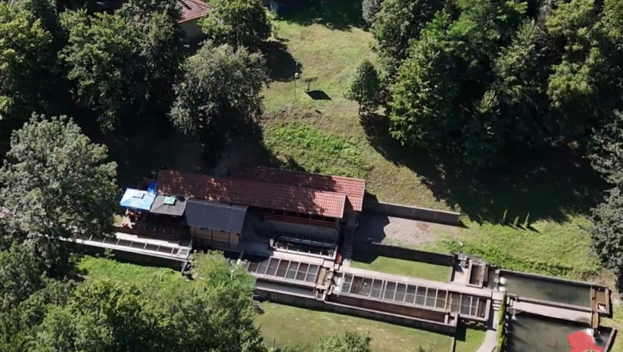 SRBIJA RADI, SRBIJA SE GRADI u epizodi: Ribnjak i restoran Dragojević, Slobodan i Evica Dragojević, Vitovnica